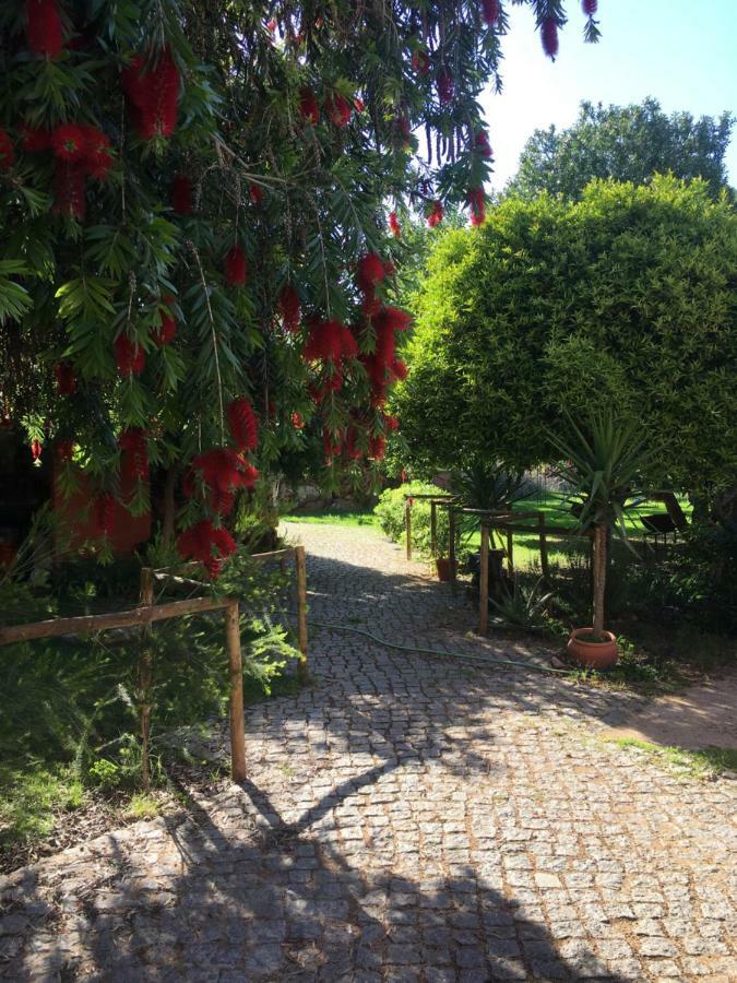 Quinta Da Sao Joao - Villa Oliveira Olhão Esterno foto